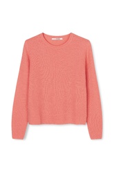 LIVIA GUAVA 3603