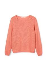 BETTE GUAVA 3603